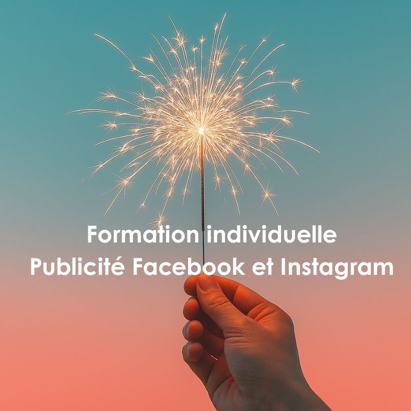 Formation individuelle Publicite Facebook et Instagram